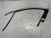 Rubber seal front door (on door)