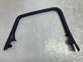 Rear door glass trim molding