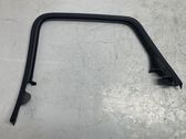 Rear door glass trim molding
