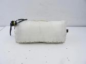 Airbag de la puerta delantera