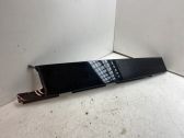 Rear door glass trim molding