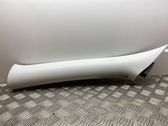 (A) pillar trim