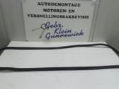 Takaluukun kumitiiviste (kori)