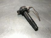 Zündspule Zündmodul