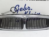 Front bumper upper radiator grill