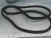 Gummidichtung Tür hinten