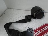 Cinturón trasero