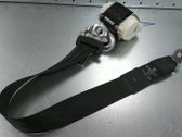 Sicherheitsgurt hinten