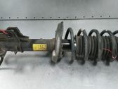 Front shock absorber/damper