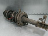 Front shock absorber/damper