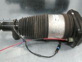 Rear shock absorber/damper