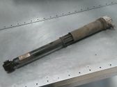 Stoßdämpfer hinten