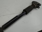Stoßdämpfer hinten