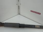 Stoßdämpfer hinten