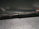 Rear shock absorber/damper