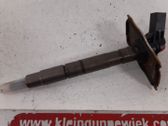 Injektor Einspritzdüse