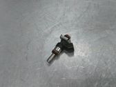 Injecteur de carburant