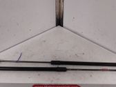 Tailgate/trunk strut/damper