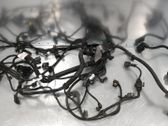 Other wiring loom
