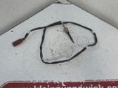 Sensor / Fühler / Geber