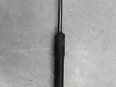 Gasdruckfeder Dämpfer Motorhaube