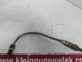 Lambdasonde Regelsonde