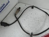 Sonde lambda