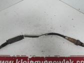 Sonde lambda