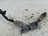 Lambda probe sensor