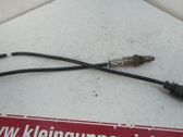Lambdasonde Regelsonde