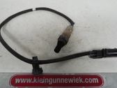 Sonde lambda