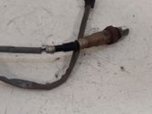 Lambda probe sensor