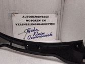 Moldura del limpia