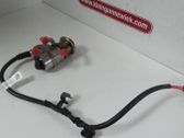 AdBlue injector
