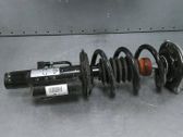 Front shock absorber/damper