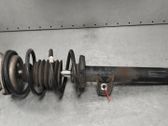 Front shock absorber/damper