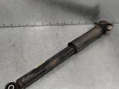 Stoßdämpfer hinten