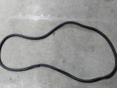 Gummidichtung Tür hinten