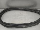 Front door rubber seal