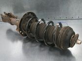Front shock absorber/damper
