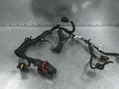 Other wiring loom
