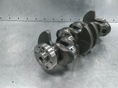 Vilebrequin du moteur