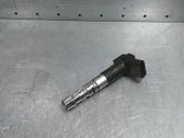 Zündspule Zündmodul