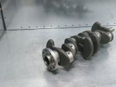 Vilebrequin du moteur