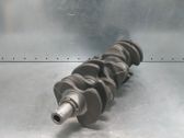 Vilebrequin du moteur