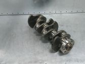 Vilebrequin du moteur