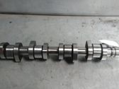 Nockenwelle