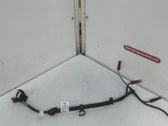 Other wiring loom