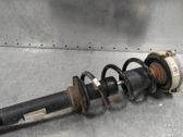 Front shock absorber/damper