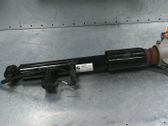 Rear shock absorber/damper